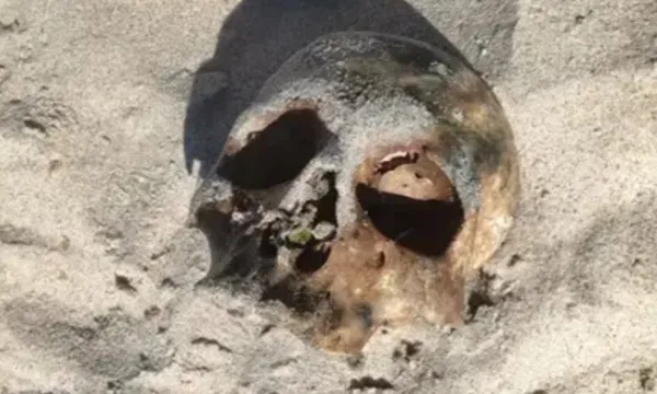 Imagem de Mistério na praia: crânio aparece em praia de Salvador